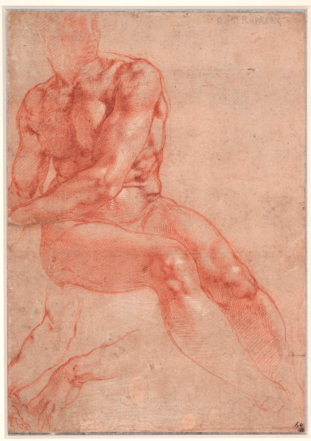Michelangelo Buonarroti, Studio di nudo (recto), circa 1510-11, 27,2 x 19,2 cm, Albertina, Vienna. © Albertina, Vienna. Courtesy National Gallery