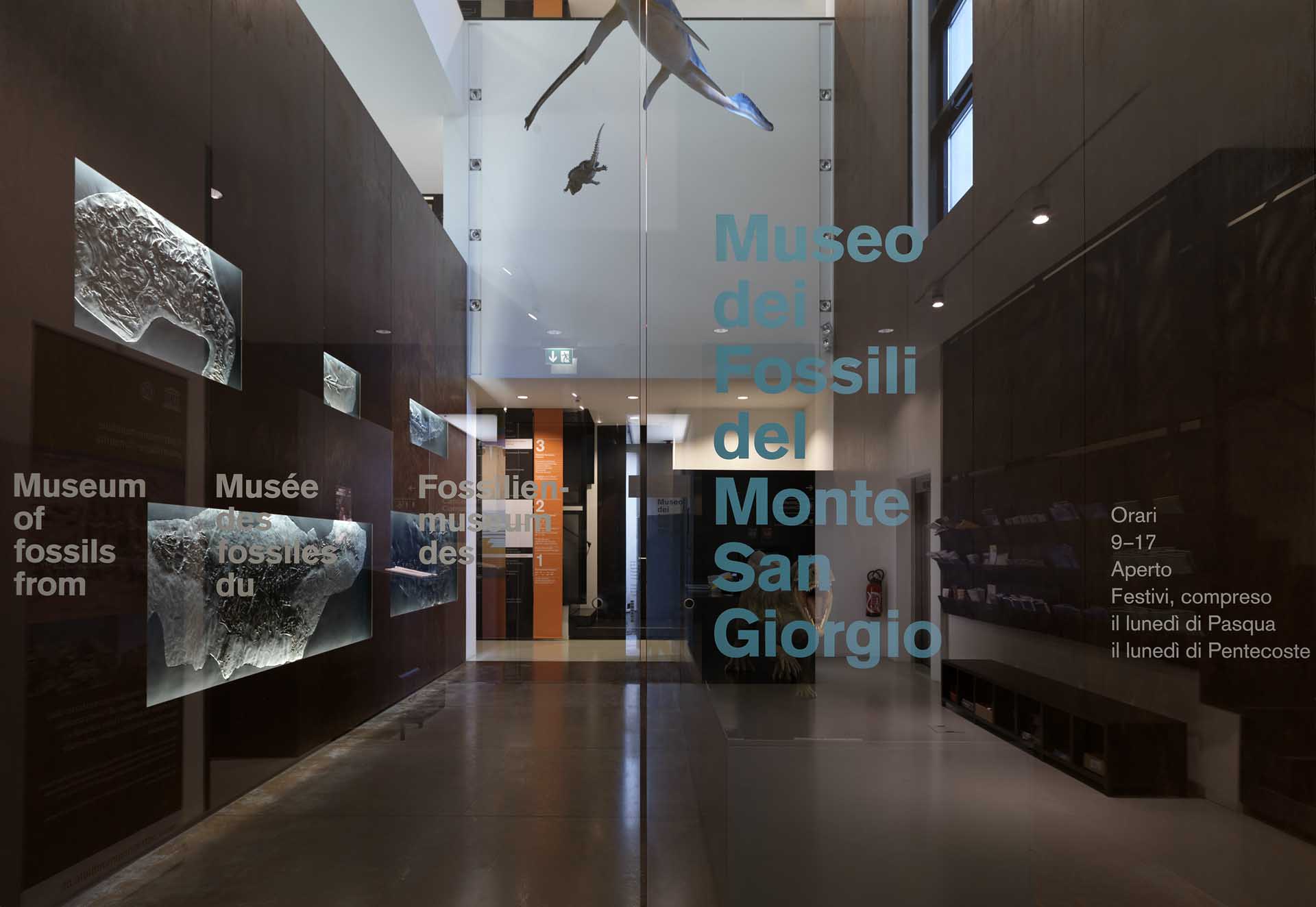 Museo dei Fossili del Monte San Giorgio, Meride