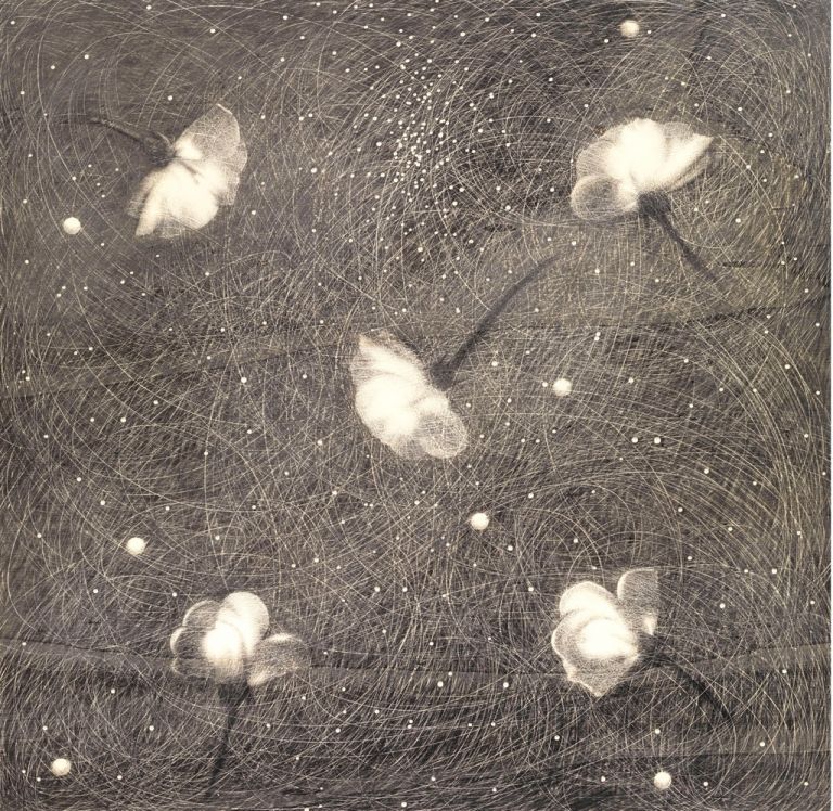 Omar Galliani, Rose, 2016, matita su tavola, cm50x50