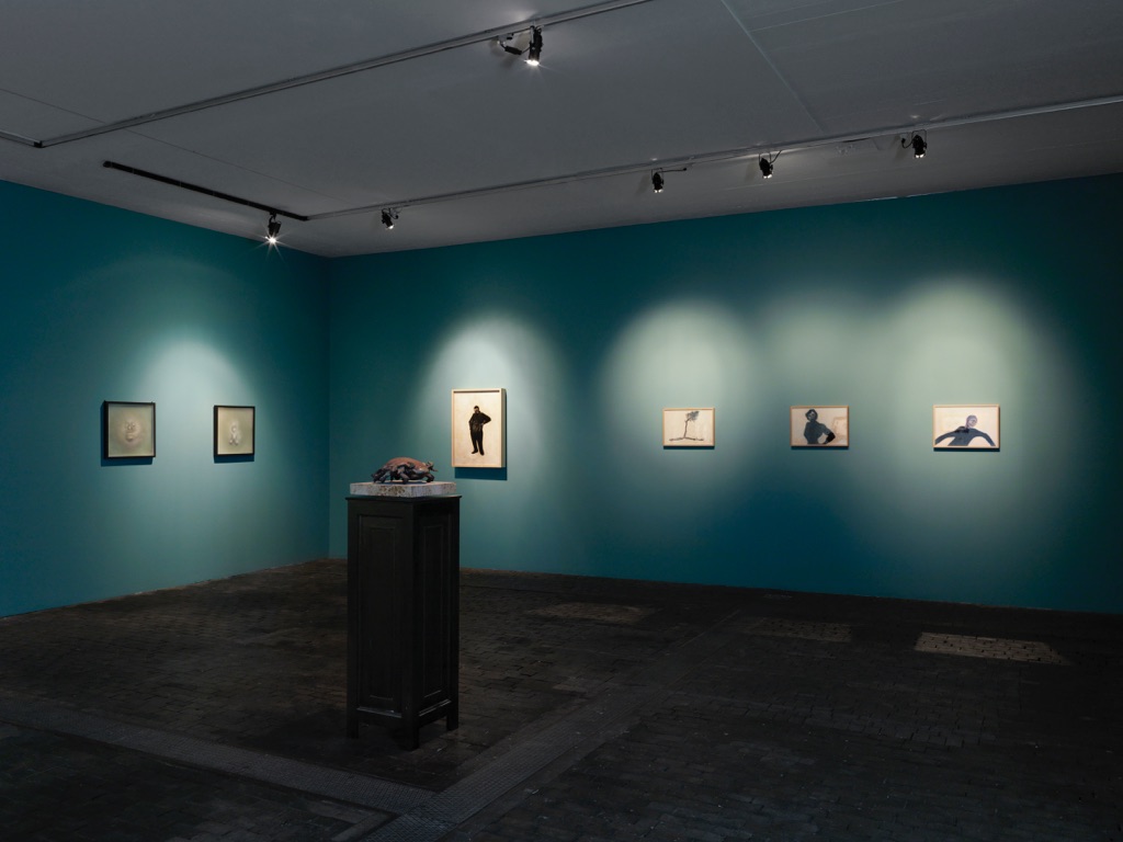 Roberto Cuoghi. Perla Pollina 1996-2016. Exhibition view at CAC-Centre d’Art Contemporain Genève, 2017. Photo Annik Wetter