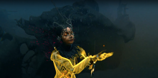 Björk, Notget