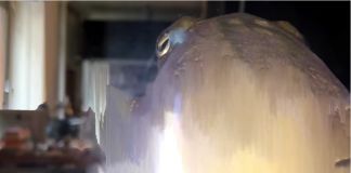 Biennale d'Arte, Venezia 2017. Pratiche d’Artista. Philippe Parreno. Still da video