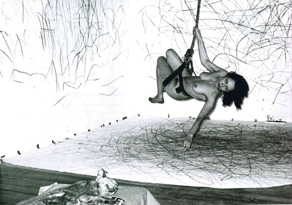 Carolee Schneemann, Up to and Including Her Limits, 1973-76