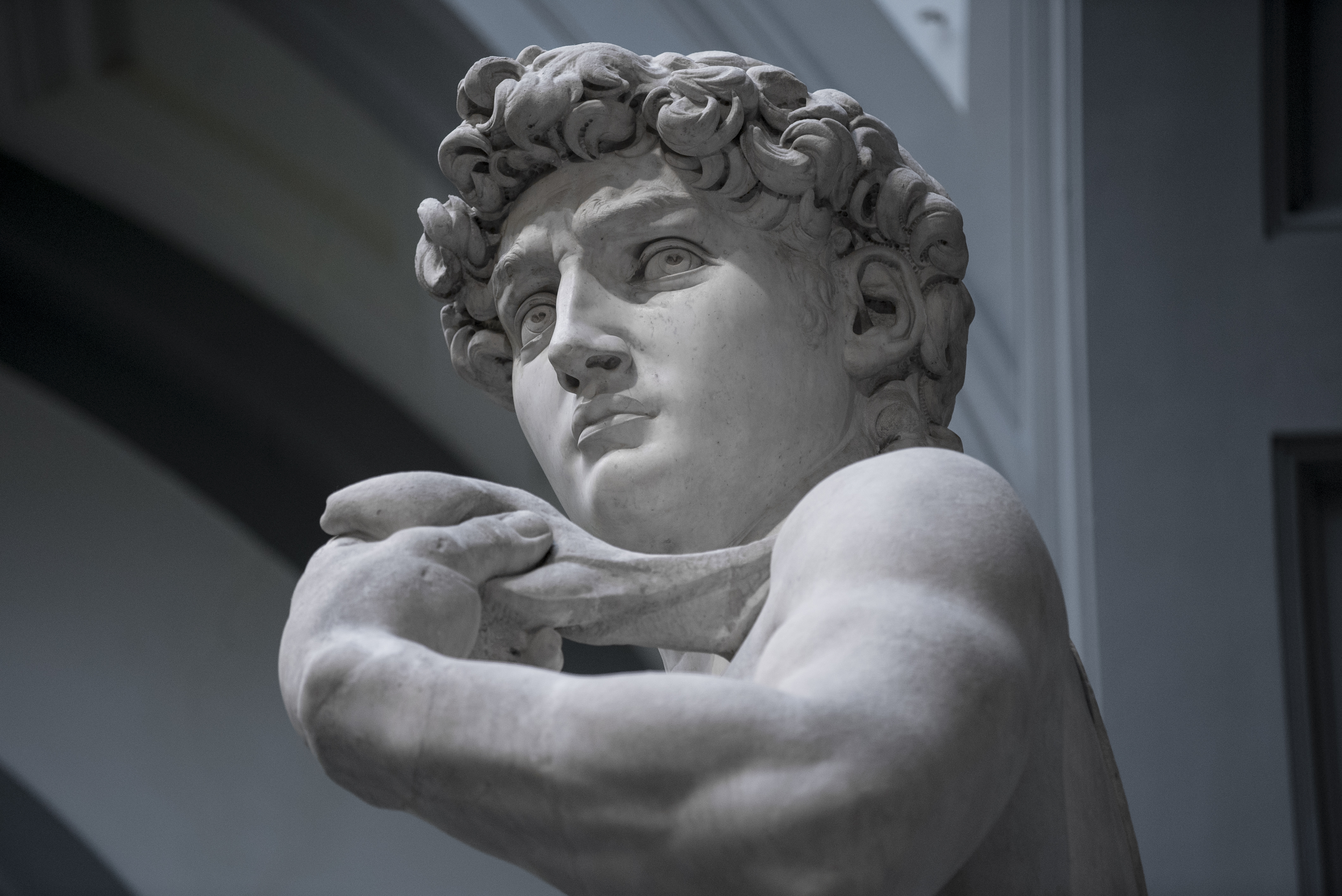 Michelangelo, David