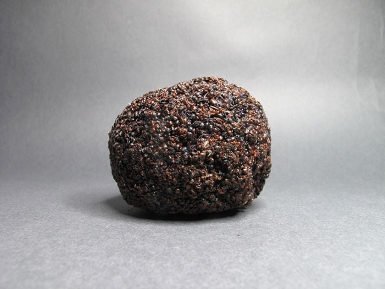 Federico Tosi, Untitled (Ants), 2011, formiche, colla, 7x7,5x7.3 cm