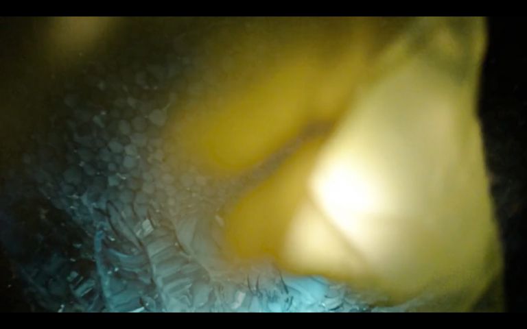 Frame dal video V3 di Voronoi, realizzato da IncepBOY (a.k.a. Michele Pauli)