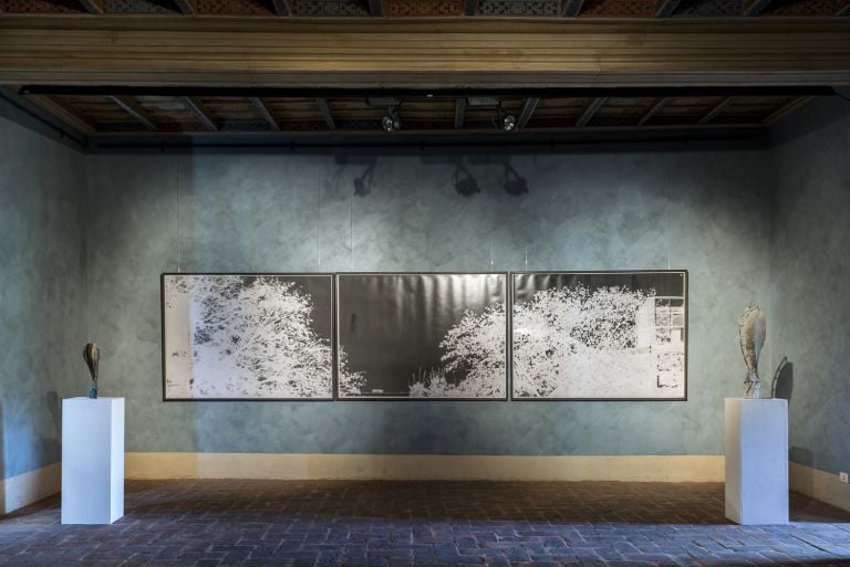 Granpalazzo 2017, Giorgio Andreotta Calò, Galleria William Lenta, ph. Sebastiano Luciano photography