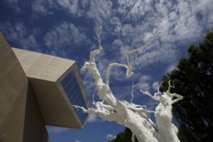 La RE–EVOLUTION del MAXXI: il museo romano si trasforma e ripensa i suoi spazi