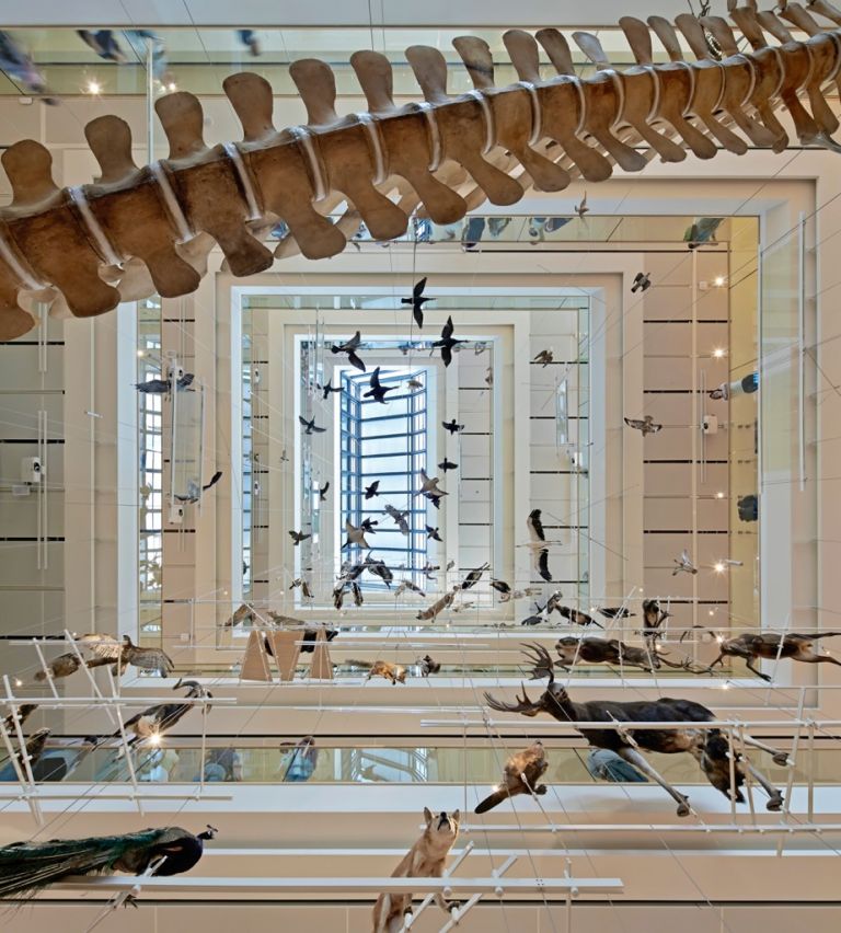 MUSE–Museo delle Scienze di Trento. Photo Matteo De Stefano ®Hufton+Crow