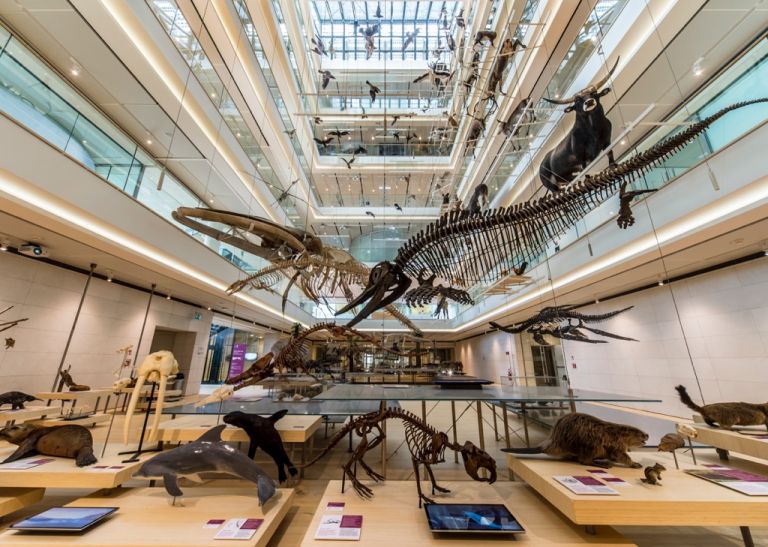 MUSE–Museo delle Scienze di Trento. Photo Matteo De Stefano