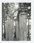 Patti Smith, Columns (Gabriele D'Annunzio's garden), 2003