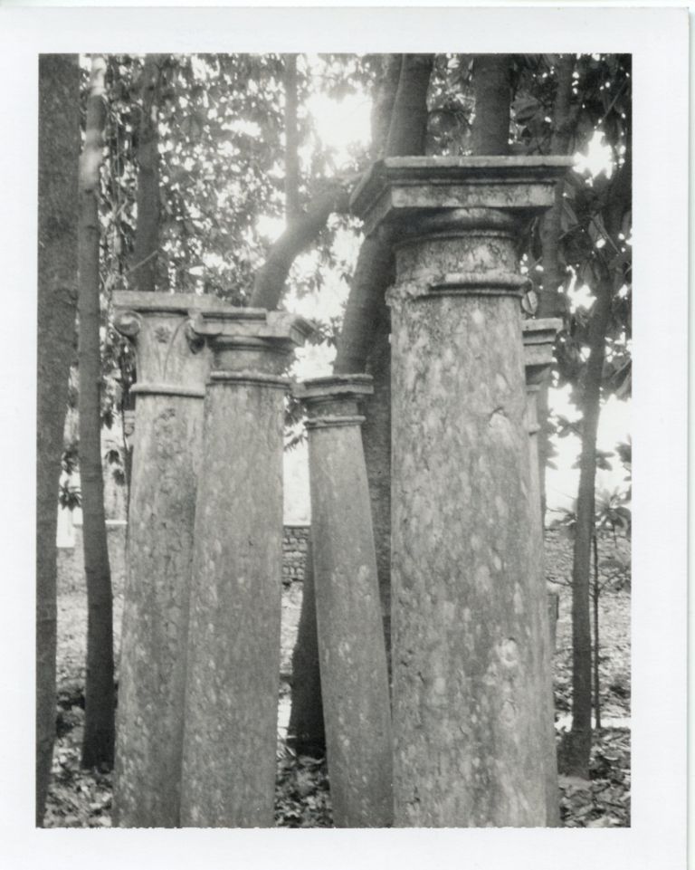Patti Smith, Columns (Gabriele D'Annunzio's garden), 2003