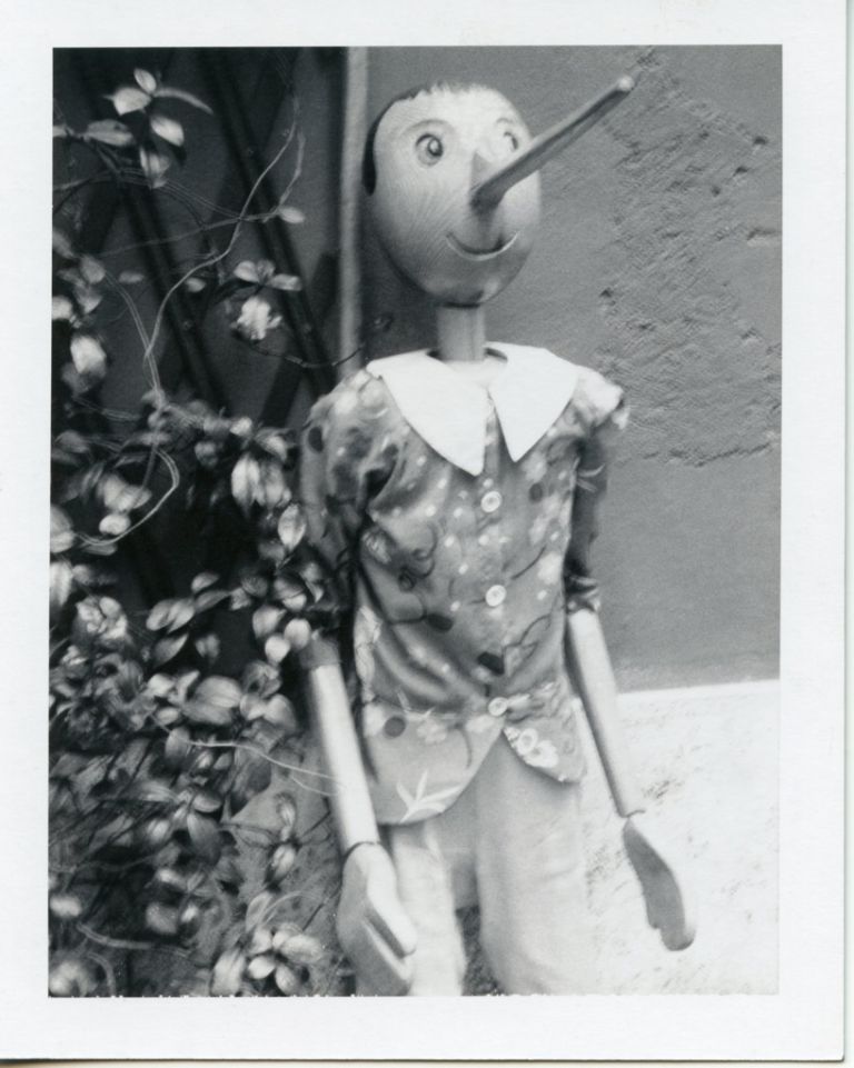 Patti Smith, pinocchio, 2007