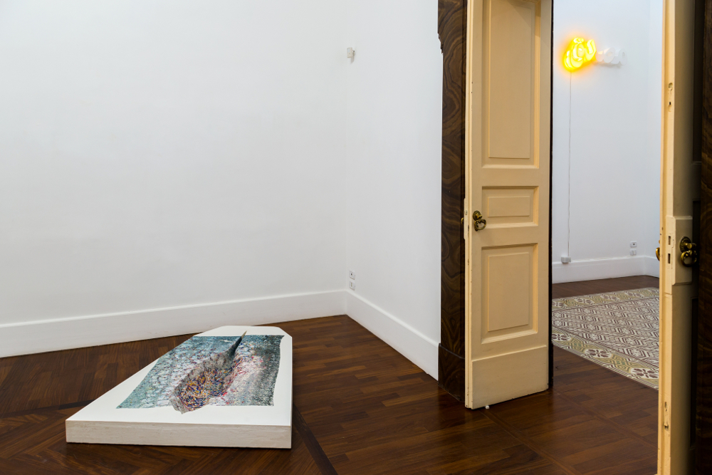 Shadi Harouni. An Index of Undesirable Elements. Exhibition view at Galleria Tiziana Di Caro, Napoli 2017