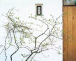 Takashi Homma, Alvar Aalto's House, Finland, 2002 ©Takashi Homma, Courtesy Taro Nasu/Viasaterna