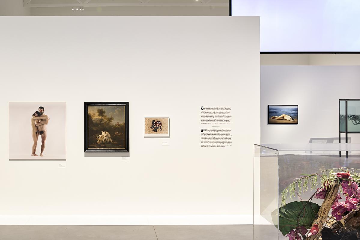 The Beguiling Siren is Thy Crest. Exhibition view at Museum on the Vistula, Varsavia 2017. Photo Jakub Certowicz