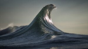 The Infinite Now. I cinemagraph di Armand Dijcks e Ray Collins