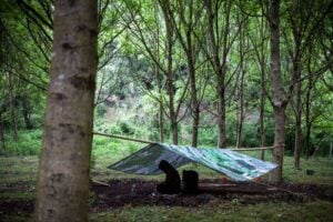 L’artista e la natura. L’opera di Tothi Folisi nel Giardino La Serpara