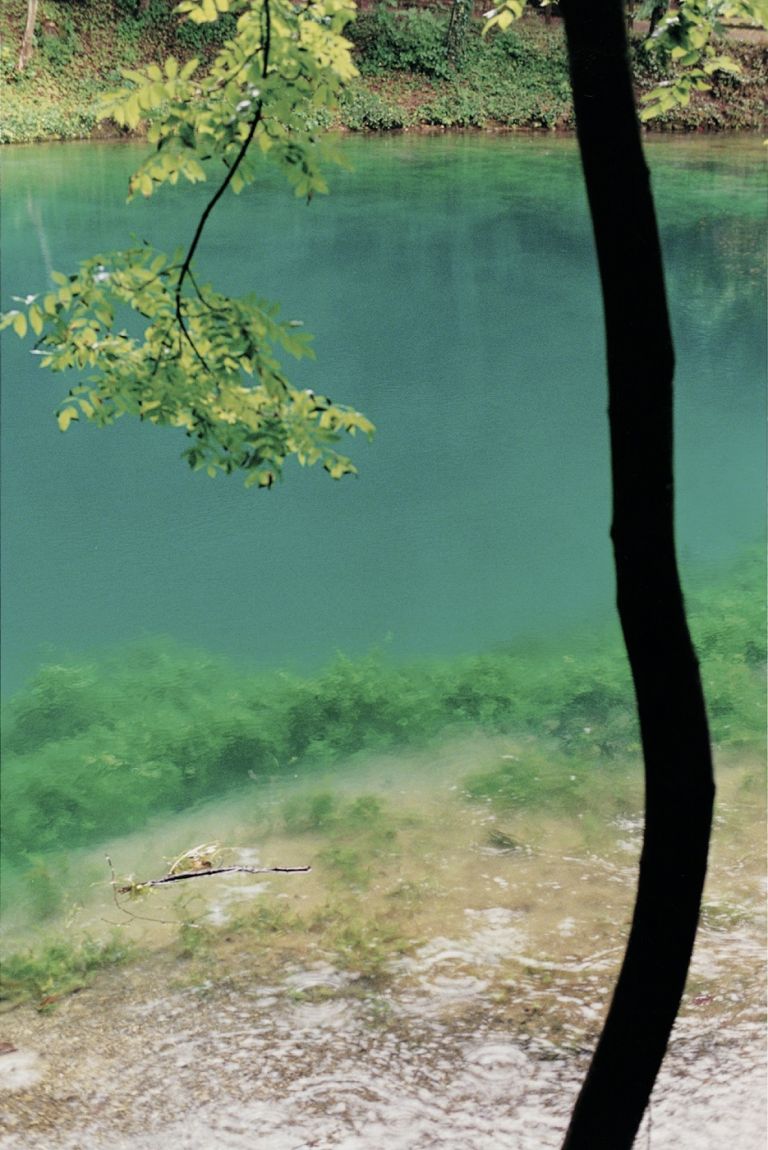 Wolfgang Tillmans, Blautopf, Baum, 2001. Courtesy Galerie Buchholz, BerlinCologne, Maureen Paley, London, David Zwirner, New York