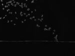 Alice Serafino, Pensieri controvento, Buio Luce e Meraviglia. I piccoli fragilissimi mondi di Alice Serafino, Elena Salamon Arte Moderna, Torino