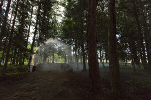 Un arco fatto di nebbia e luce. L’installazione di James Tapscott in Giappone