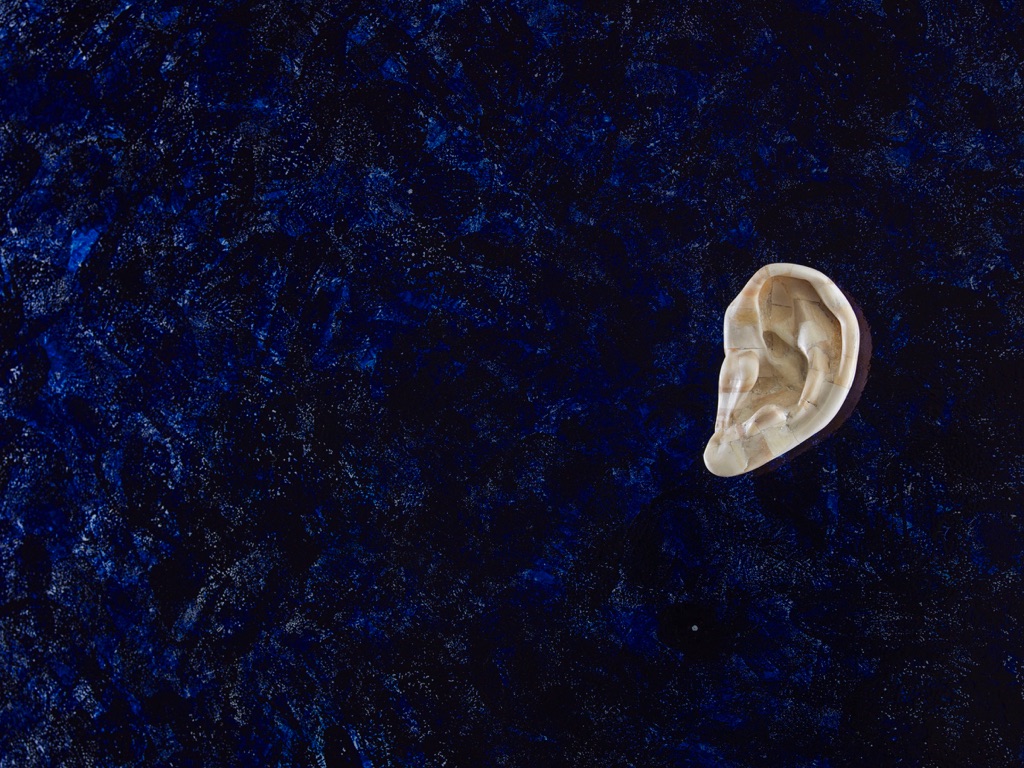 Jan Fabre, Untitled (bone ear), 1988 (particolare)