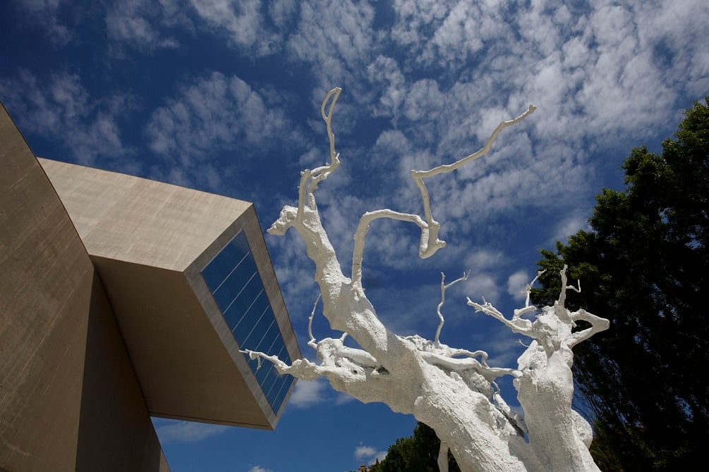 Maxxi Updates: una rubrica di Artribune vi aggiorna su tutte le novità del museo romano