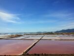 Saline Conti Vecchi Foto Valentina Pasolini_2017 © FAI Fondo Ambiente Italiano