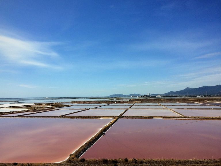 Saline Conti Vecchi Foto Valentina Pasolini_2017 © FAI Fondo Ambiente Italiano