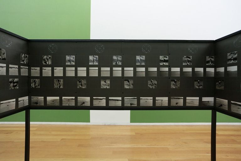 Coleção de Serralves, 1960-1980. Ph. Nicolò Galeazzi