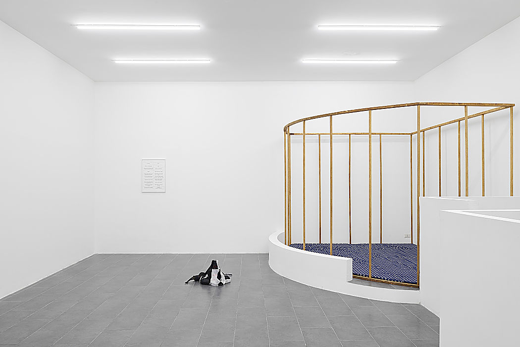 Anna-Sophie Berger, New words, 2017, installation view, at Galerie Emanuel Layr, Roma, courtesy of the artist e Galerie Emanuel Layr, Roma photo Roberto Apa