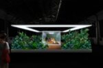 Doug Aitken, The Garden, 2017; Steel and Plexiglas, LED Lights, Plants, Soil, Wood, installation view