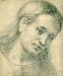 Franciabigio, Testa di giovane