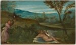 Giorgio da Castelfranco detto Giorgione, Leda e il cigno, 1499 1500. Padova, Musei Civici, Museo d’Arte Medioevale e Moderna