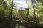 Go Hasegawa & Associates, Pilotis in a Forest. Photo © Go Hasegawa & Associates