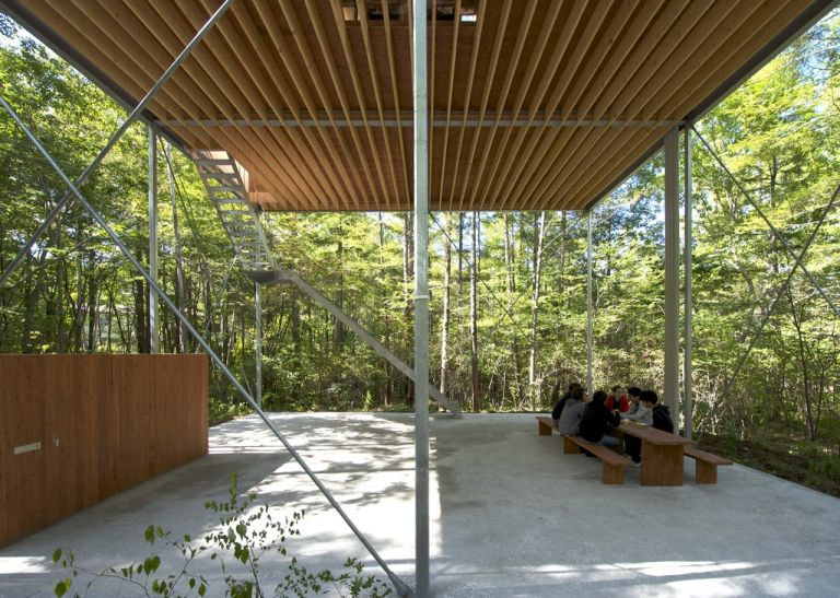 Go Hasegawa & Associates, Pilotis in a Forest. Photo © Go Hasegawa & Associates