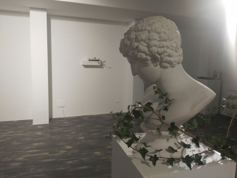 Guillermina De Gennaro, Inglobe, exhibition view at Fondazione Museo Pino Pascali, Polignano a Mare 2017