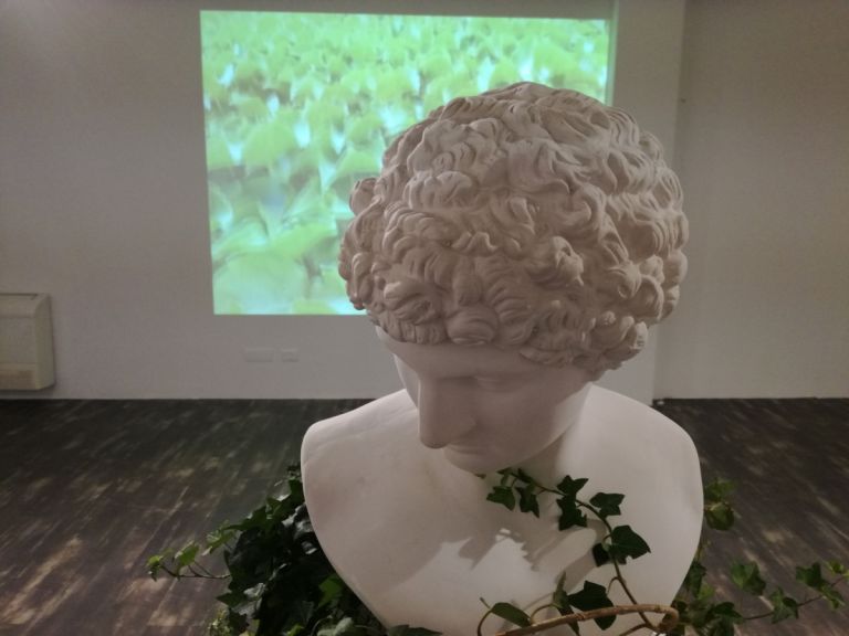 Guillermina De Gennaro, Inglobe, exhibition view at Fondazione Museo Pino Pascali, Polignano a Mare 2017