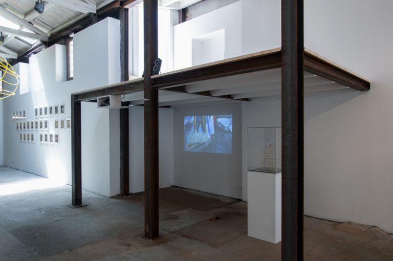 Le désir e gli artisti, exhibition view at Galerie Alberta Pane, Venezia 2017, photo Irene Fanizza