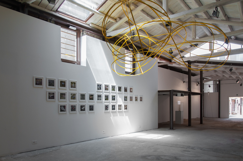 Le désir e gli artisti, exhibition view at Galerie Alberta Pane, Venezia 2017, photo Irene Fanizza