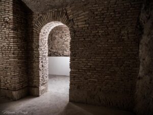 Inaugura a Roma Musia, il nuovo spazio per l’arte fondato dall’imprenditore Ovidio Jacorossi
