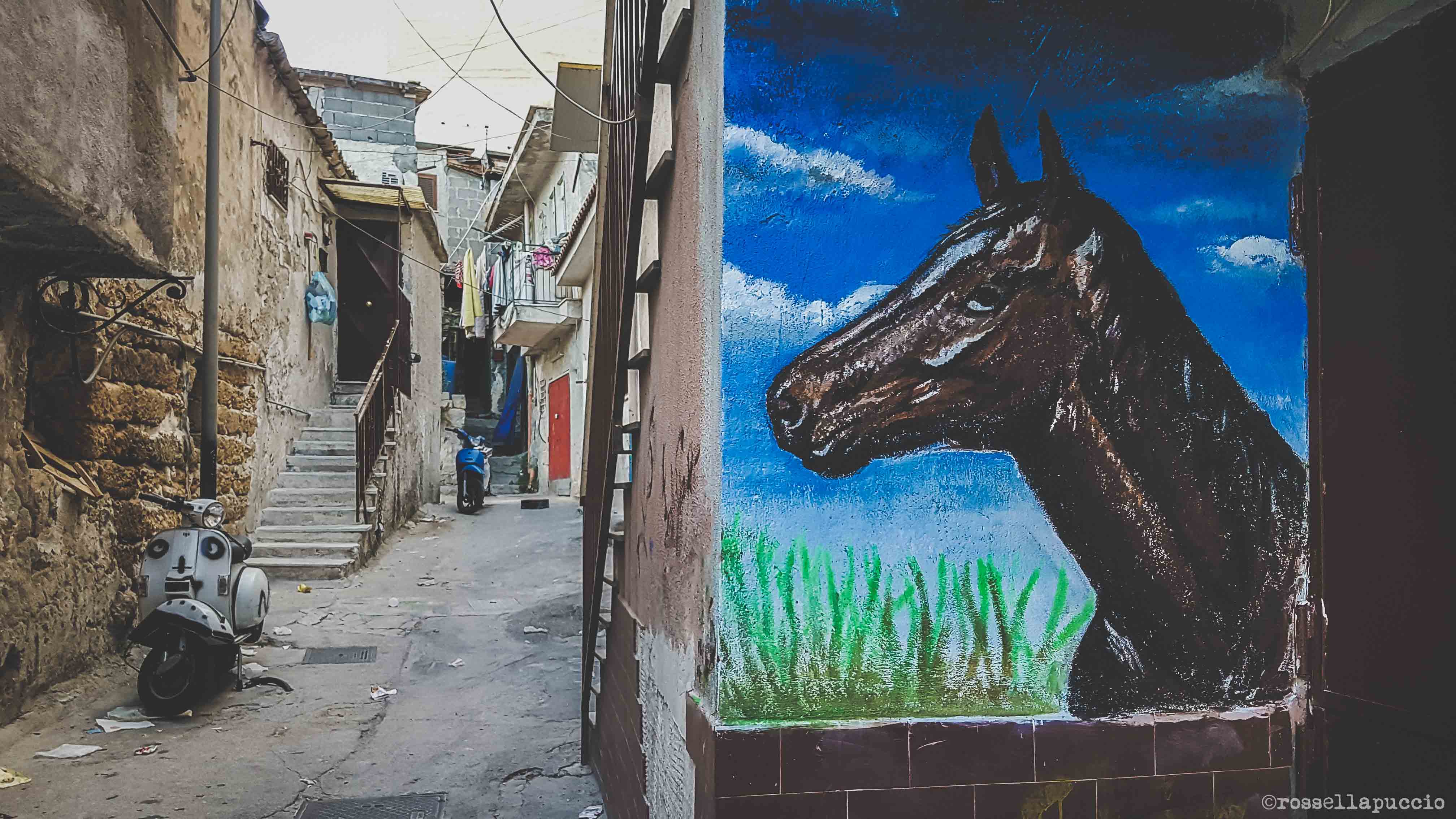 Opere di street art nascono nel quartiere Danisinni, Palermo, photo Rossella Puccio