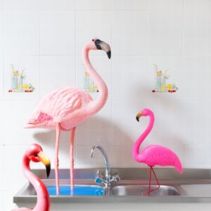 Flamingo-mania: il fenicottero rosa ha invaso l’estate 2017. Ed anche la copertina di Artribune