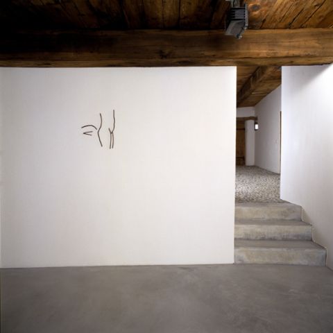 Markus Raetz, Galleria Monica De Cardenas , Zouz, 2007