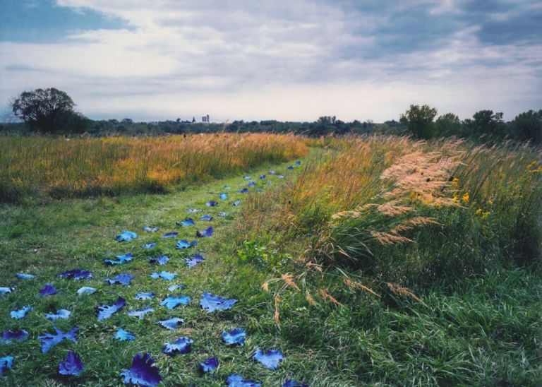 Sandy Skoglund, As Far as the Eye Can See, 2001