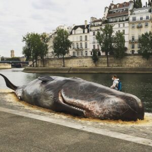 Una balena si arena a Parigi davanti a Notre-Dame. Performance ecologista di Captain Boomer