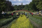 ilpalinsesto, (extract) 1, performance, ParcDesign, Brussels, 2016 (c) Bram Goots