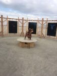NINI, Burning Man 2017
