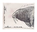 Tim Pitsiulak Bull Walrus Disegno a inchiostro su tela 2015