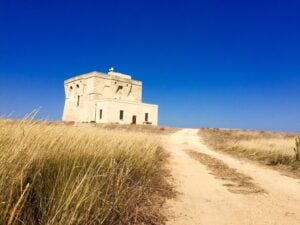 Fra tempo e natura. Giuseppe Ciracì in Puglia